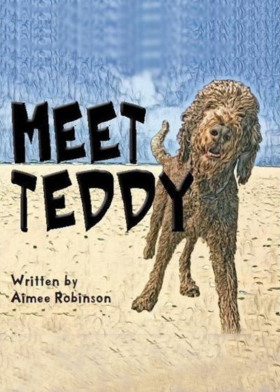 Meet Teddy - Soft Cover