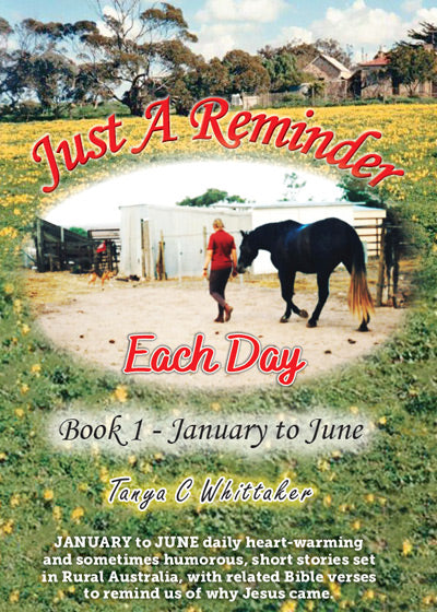 Just A Reminder - Each Day (Book 1) - Soft Cover