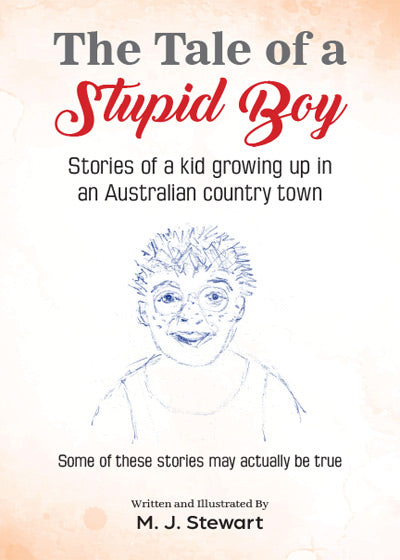 The Tale of a Stupid Boy - Soft Cover